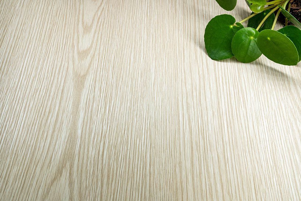 Cream Pine - AG20