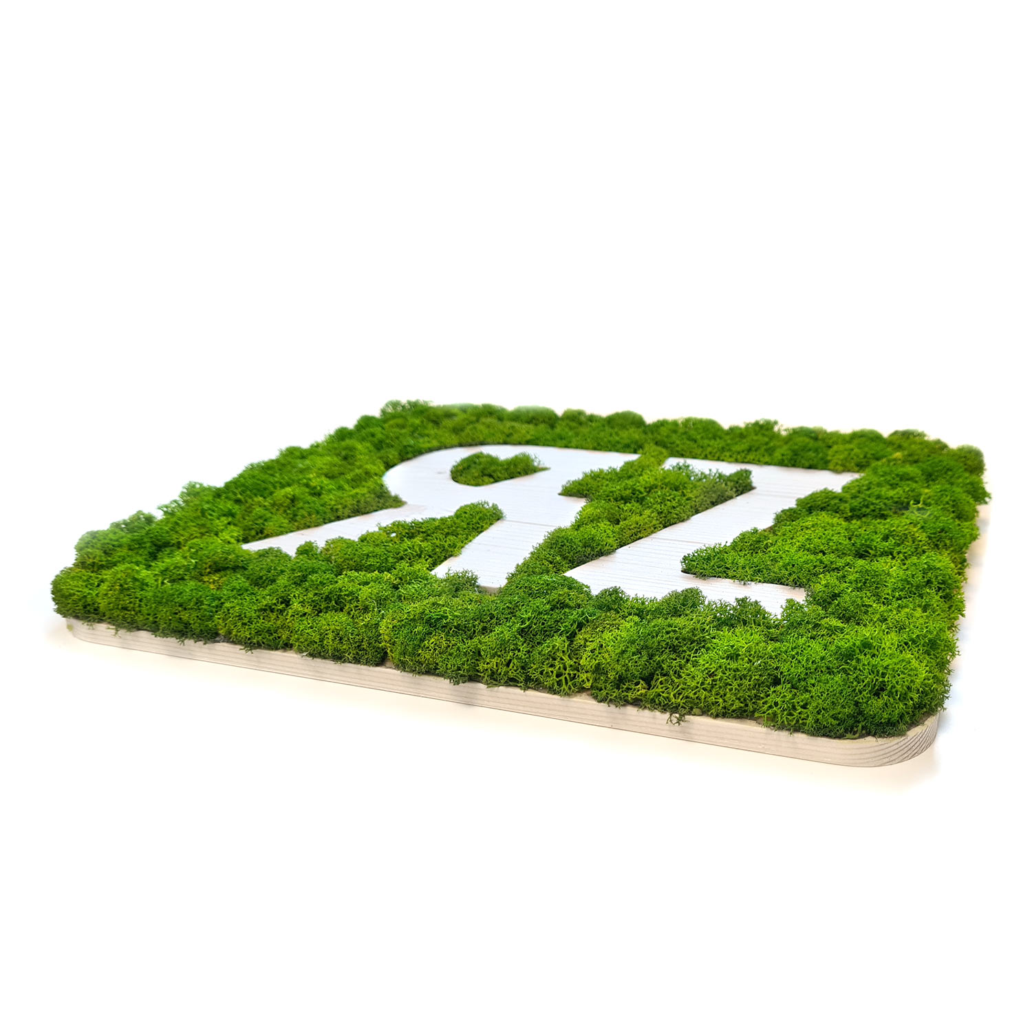Islandmoos Logos / Schriften - Zirbe - Negativ