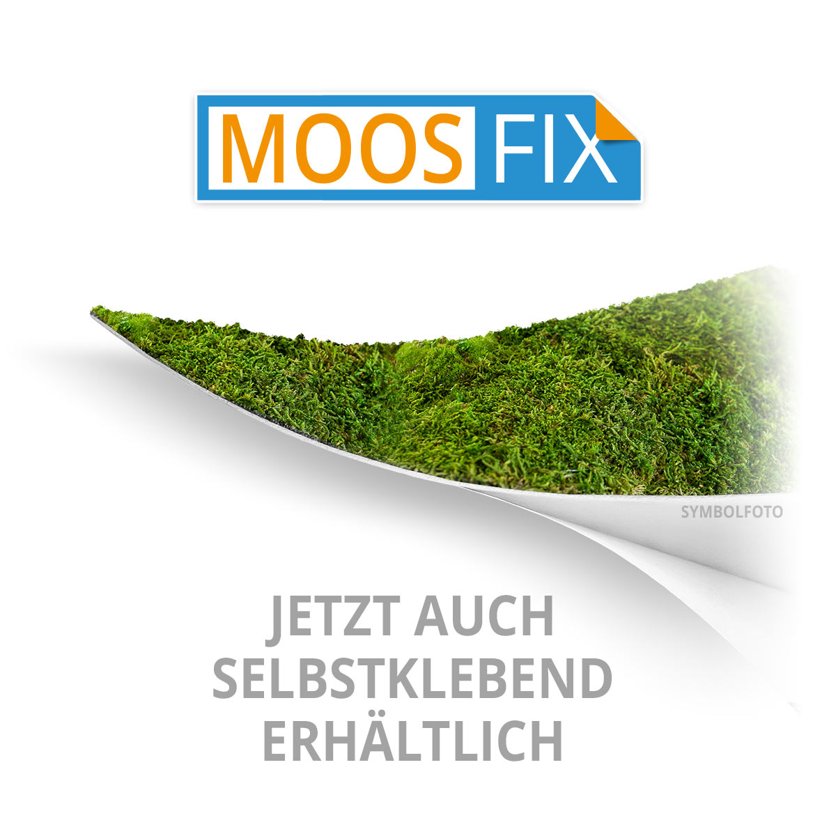 Waldmoos Logos / Schriften - Zirbe - Negativ